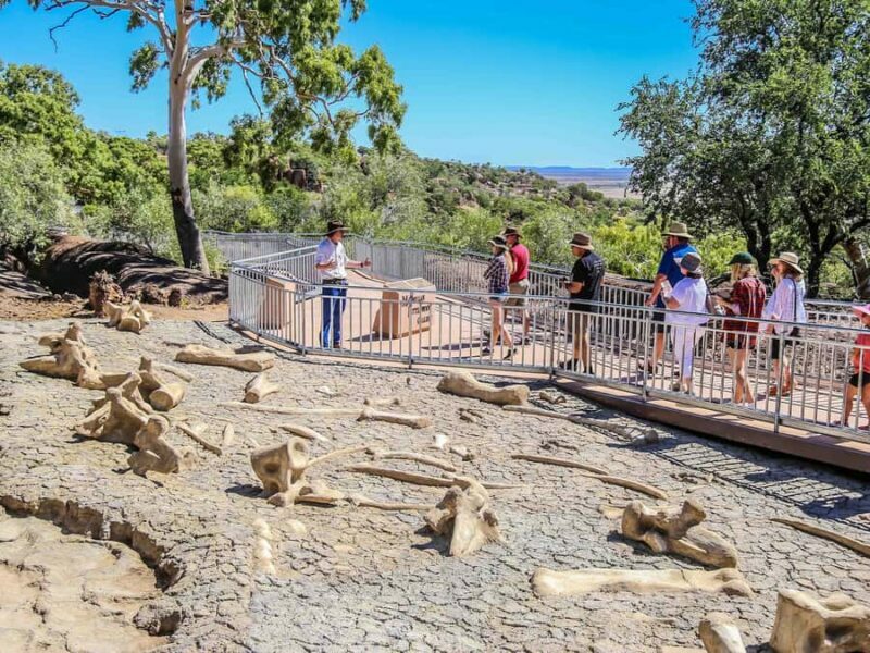 Winton: Age of Dinosaurs Museum Half Day Guided Transfer - Authentic, Well-Paced Tour Experience