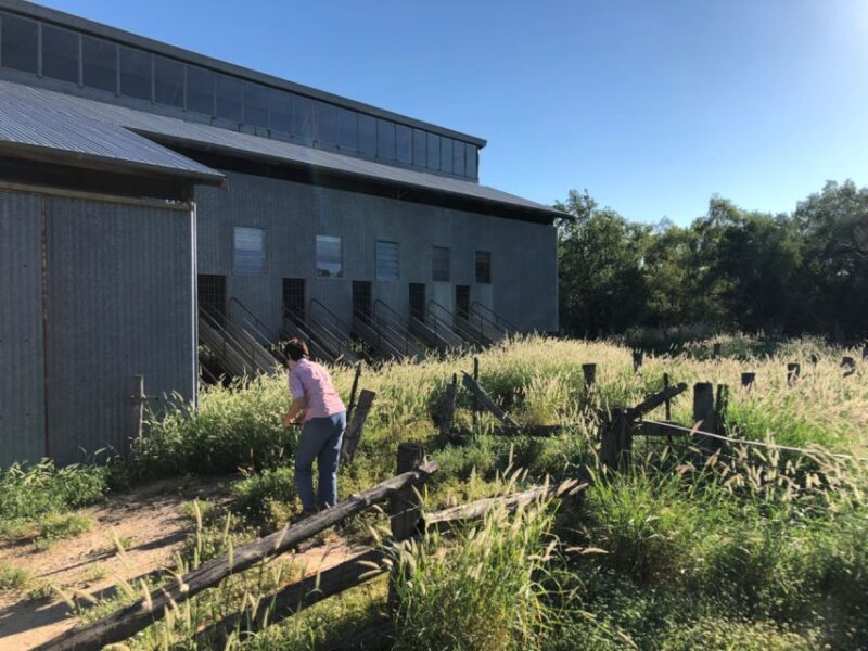 Winton: Bladensburg National Park Half Day Tour - Morning Tea Included