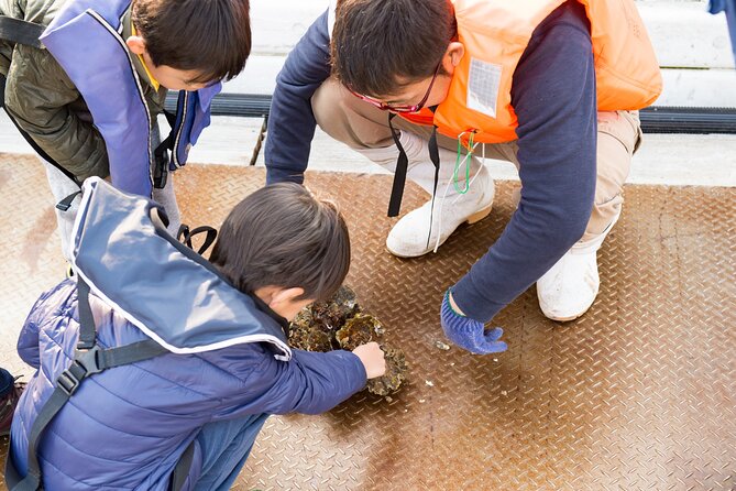 Witness an Oyster Harvest & Interact With Local Oyster Farmers! - UNESCO World Heritage Site Visit