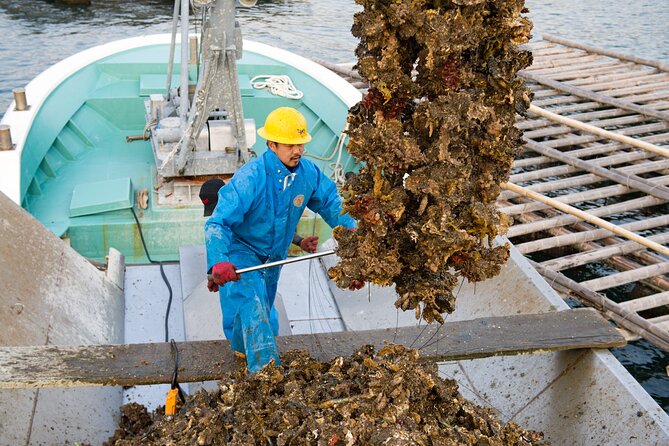 Witness an Oyster Harvest & Interact With Local Oyster Farmers! - Booking and Cancellation Policy