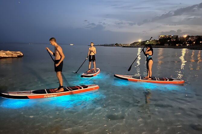 Witness the Magic: Set out on a Glowing Sunset SUP Adventure - Spotting Local Wildlife