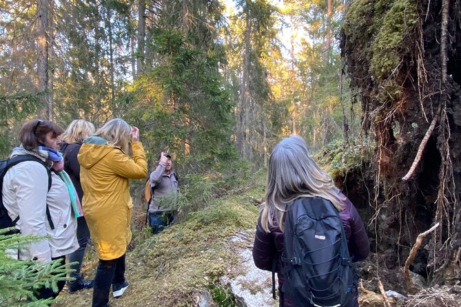 Wolf and Wildlife Tracking in Sweden - About Your Stay