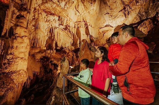 Wombeyan Caves: Fig Tree Cave Tour - Final Thoughts: Is It Worth It?
