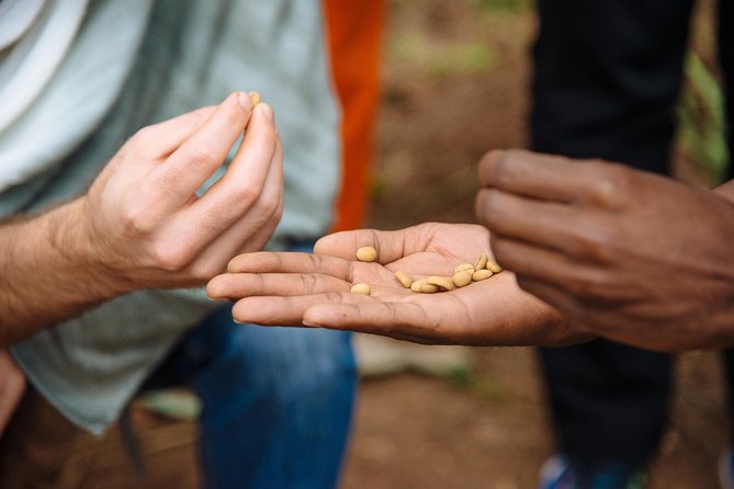 Women-led Coffee Farm Trek - Highlights of the Tour