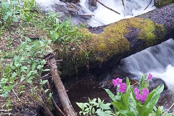 Womens Hike to Ouzel Falls in Rocky Mountain National Park - Driving to the Trailhead