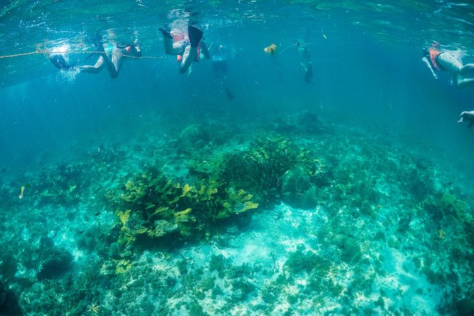Women's Island Tour by Catamaran From Cancun City - Customer Experiences Analyzed