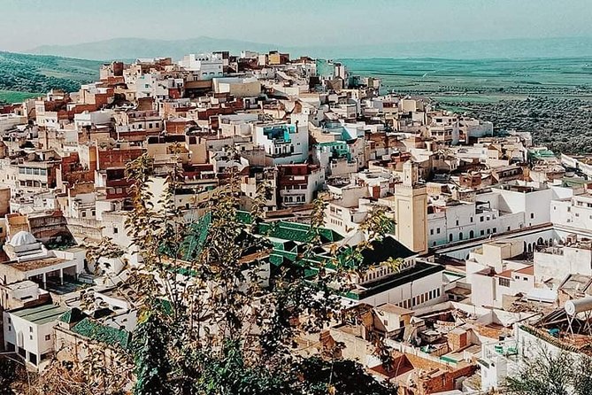 Wonderful 2days Tour To Meknes Volubilis & Chefchaouen From Fes - Suggestions for Improvement