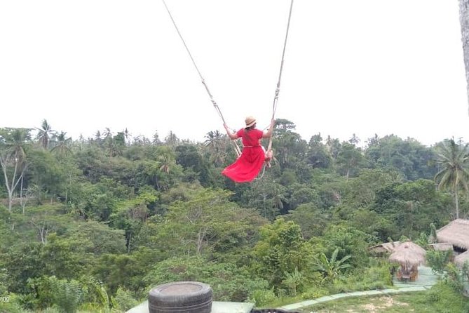 Wonderful 3 Days of Bali Private Guided Tour All Inclusive - Accessibility and Special Requirements