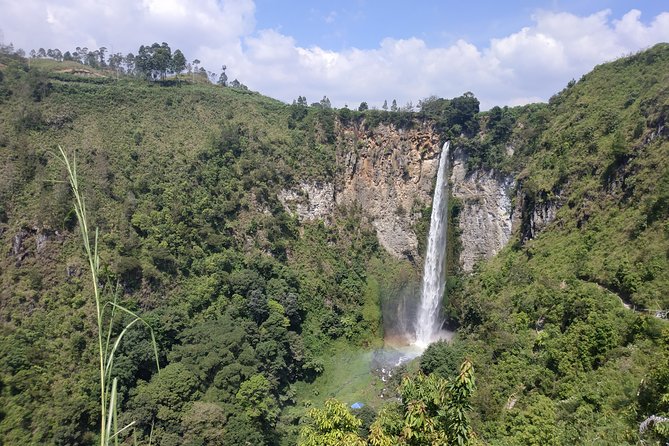 Wonderful 7 Days North Sumatra Tour (Include: 2 Days 1 Night Jungle Trekking) - Traveler Feedback