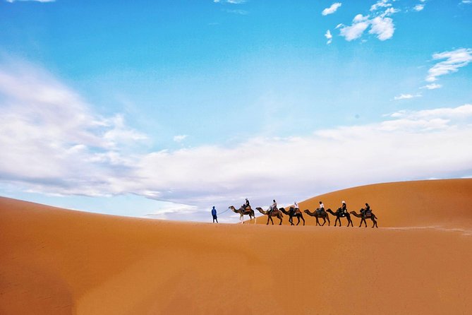 Wonderful Desert Tour From Fes To Merzouga 1 Night 2 Days - Meeting and Pickup