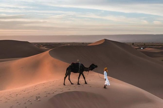 Wonderful Desert Tour From Fes To Merzouga 1 Night 2 Days - Camel Trekking and Desert Camp
