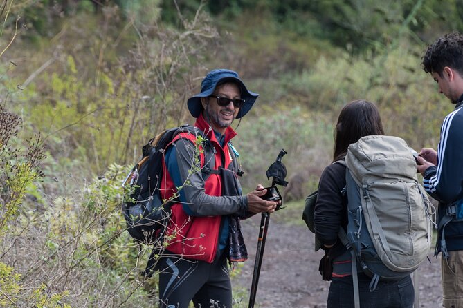 Wonderful Hike Through the Magic Forest of Tenerife - Guided Tour Highlights