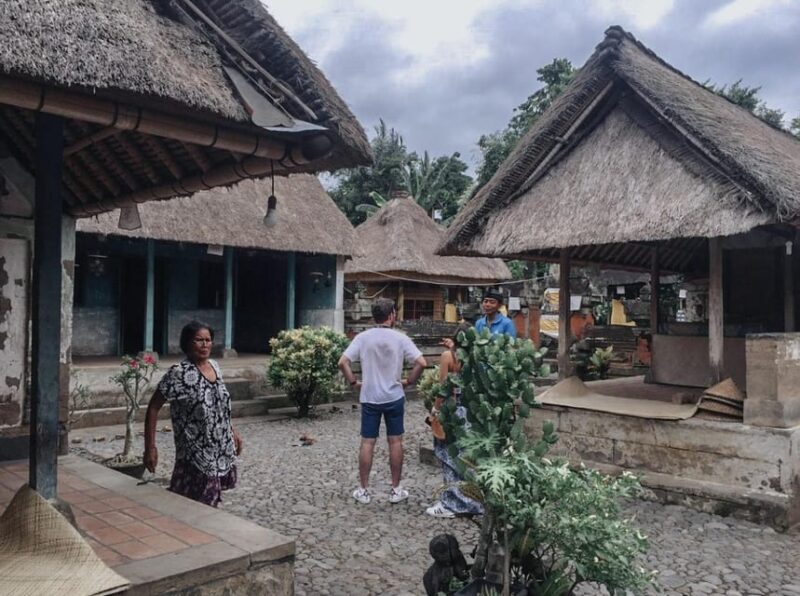 Wonderful of Ubud Tour - (Private & All-Inclusive) - Accessibility and Convenience