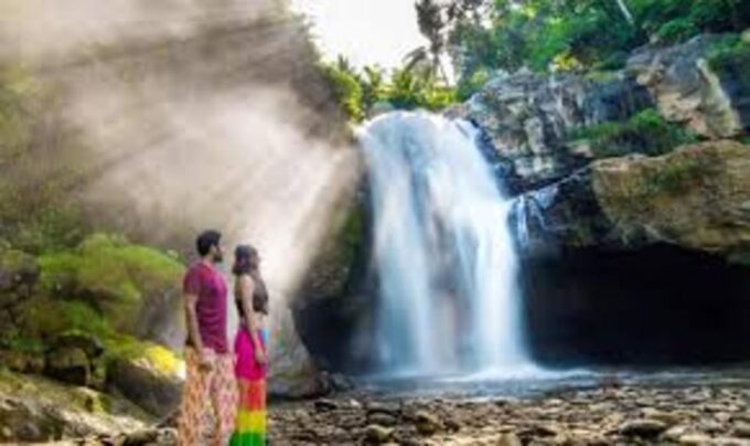 Wonderful of Ubud Tour - (Private & All-Inclusive) - Discover Rice Fields