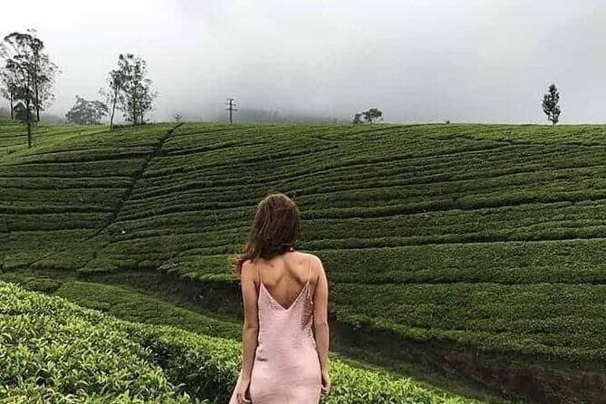Wonderful Srilankan 14 Days Tours - Who Should Consider This Tour?