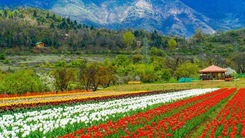 Wonderful Srinagar Holiday With Gulmarg & Pahalgam 5 Days - Language and Group Type