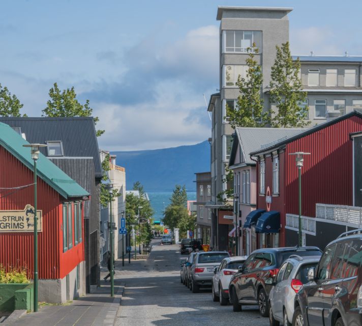 Wonderful Tour In Reykjavik For USA Tourist - Booking and Availability
