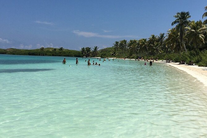 Wonderful Tulum Tour to Laguna Kaan Luum Including 2 Cenotes and Playa Paraíso - Host Responses and Recommendations