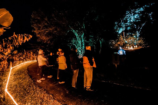 Wonderland by Night Norfolk Island - Tour Highlights