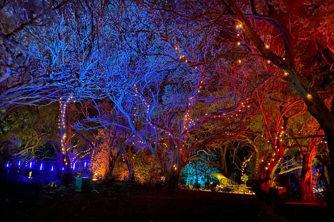 Wonderland by Night Norfolk Island - Tour Details