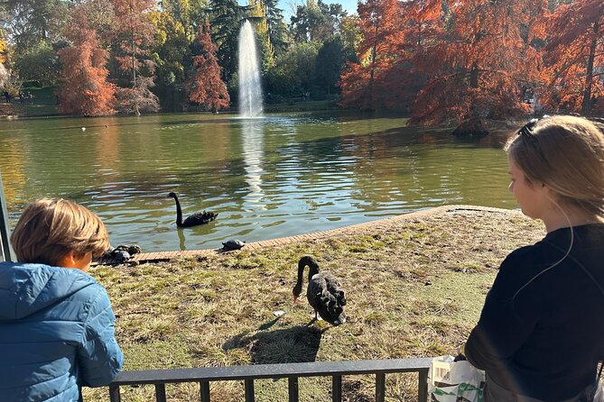 Wonders of Madrid Private Guided City Tour for Kids and Families - Getting to the Meeting Point