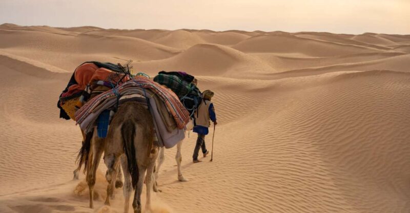 Wonders of Tunisia - 8 Day Tour - Day-by-Day Itinerary
