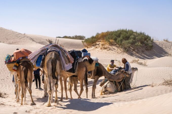 Wonders of Tunisia - 8 Day Tour - Frequently Asked Questions