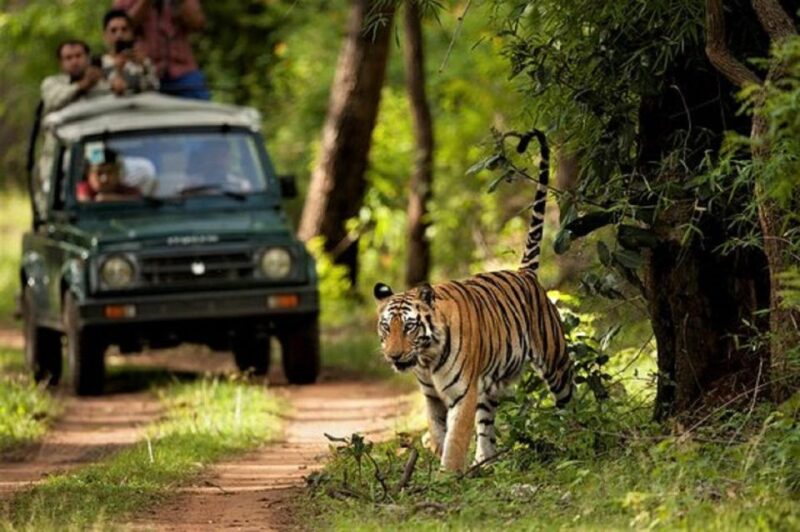 Wonders of Wildlife: 4-Day Chitwan National Park Tour - Explore Local Culture