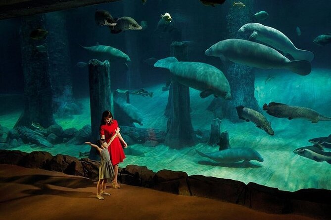Wondrous Wildlife @ River Wonders + Roundtrip Transfers - Accessibility and Participation