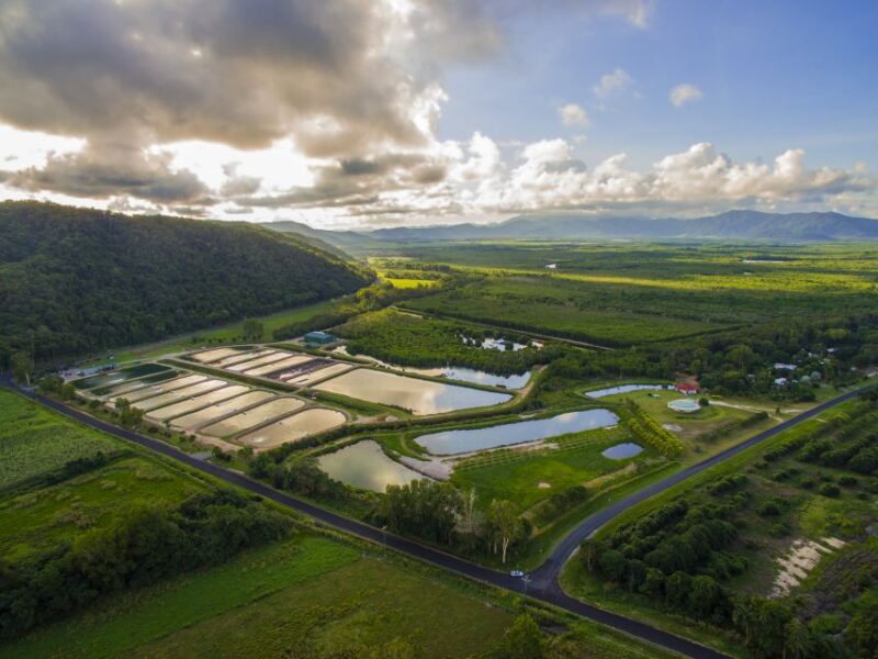 Wonga: Daintree Saltwater Farm Tour - Key Points