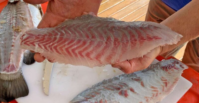 Wonga: Guided Fishing, Farming and Tasting Tour - Experience Highlights
