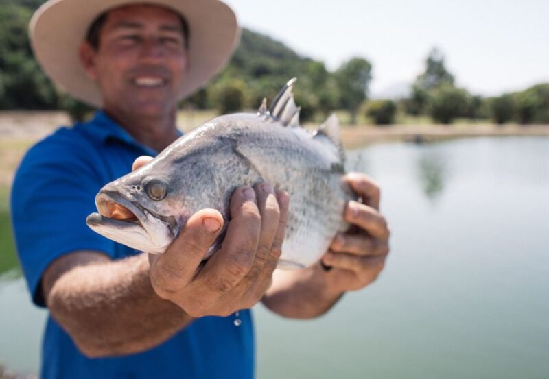 Wonga: Guided Fishing, Farming and Tasting Tour - All-Ages Fishing Experience