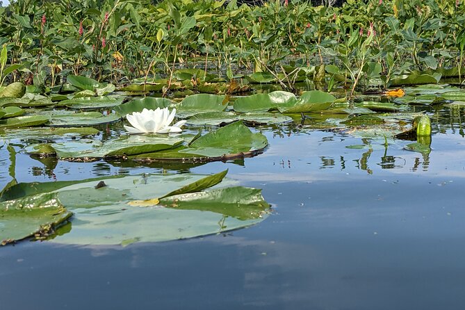 Wood & Wetlands River Trip - Reviews and Ratings