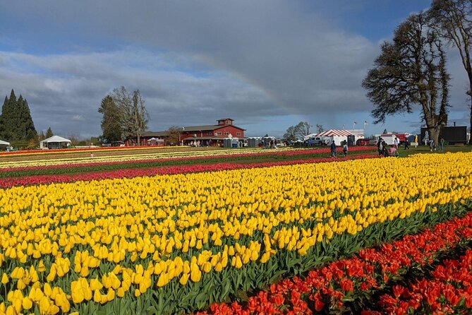 Wooden Shoe Tulip Festival - Pickup and Dropoff