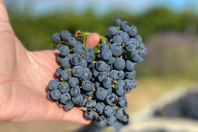 Woodinville Warehouse Wine Pass - Woodinville Wine Country