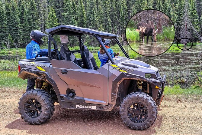 Woodland Park: 4-Hour Self-Guided Rocky Mountain Polaris UTV Tour - Safety Considerations
