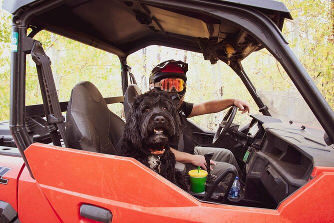 Woodland Park: 4-Hour Self-Guided Rocky Mountain Polaris UTV Tour - Traveler Feedback