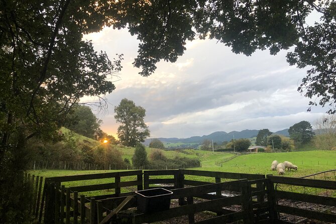 Wool Sheep Farm Experience With Handmade Wool Hat in New Zealand - Booking Information