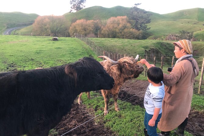 Wool Sheep Farm Experience With Handmade Wool Hat in New Zealand - Directions to Meeting Point