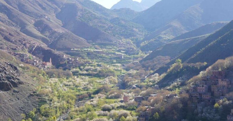 Woolly Wanderings: Grazing With the Atlas Mountain Sheep” - Itinerary Highlights