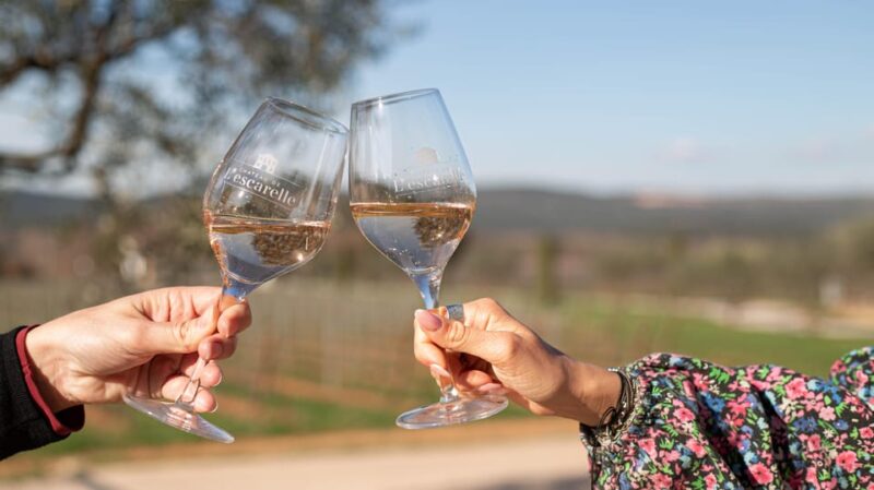 Workshop May 2,  at Château L'escarelle: White Wines From L'escarelle - Château Lescarelle White Wines