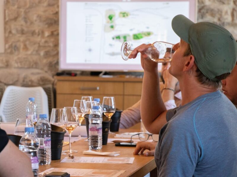 Workshop on June 6,  at Château Lescarelle: Blind Tasting - Tasting Experience