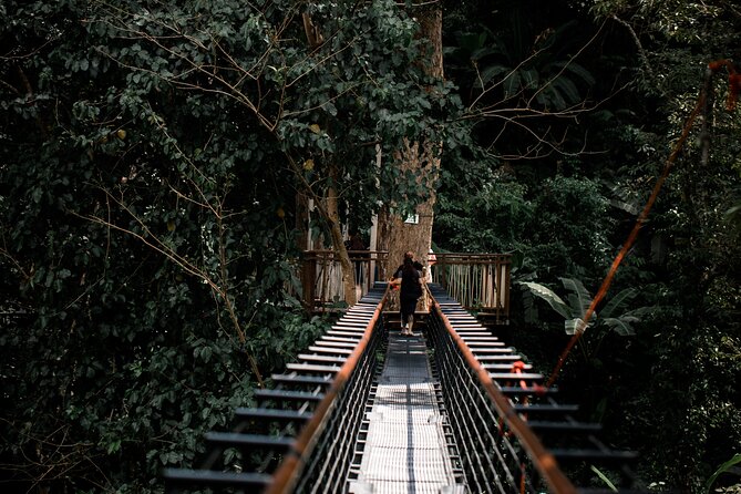 World B+ (Zipline 18 Platforms + Roller + Sky Walk With World Set Menu ) - Trained Zipline Staff