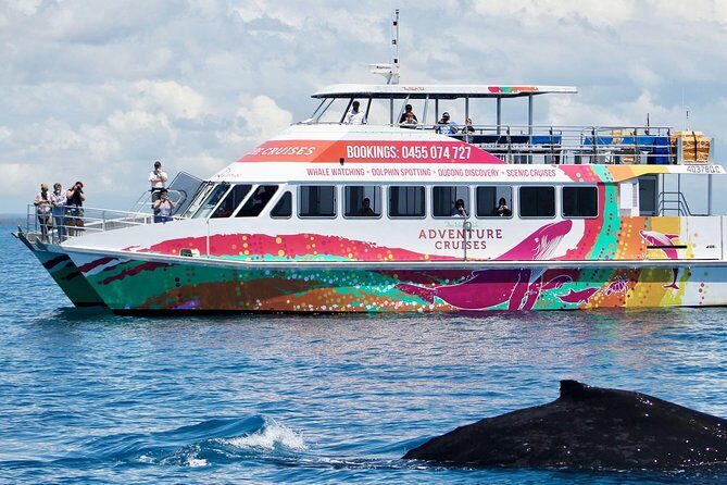 World class Whale Watching from Hervey Bay - Final Thoughts