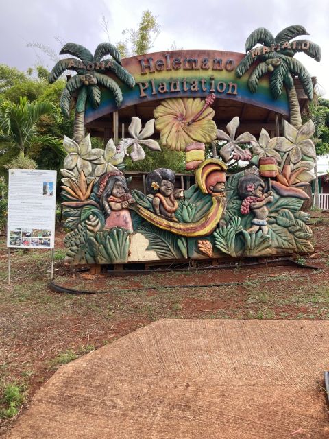 World Famous Dole Plantation & North Shore Island Tour! - North Shore Exploration
