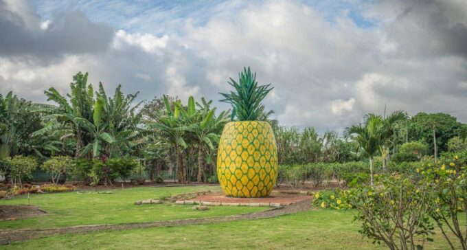 World Famous Dole Plantation & North Shore Island Tour! - Inclusions