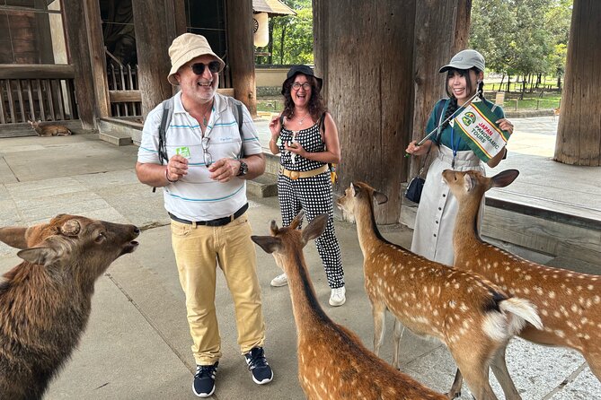 World Heritage Kyoto & Nara Uji Authentic Matcha Experience - Customer Reviews and Feedback