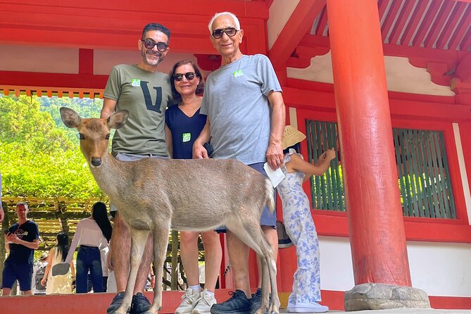World Heritage Kyoto & Nara Uji Authentic Matcha Experience - Taking in the Authentic Matcha Experience