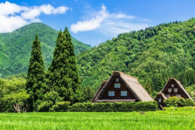 World Heritage Shirakawago and Gokayama Tour by Nohi Bus - Health and Safety Guidelines