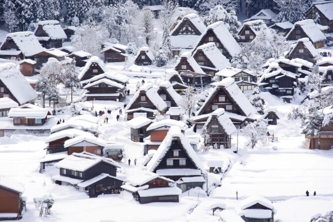 World Heritage Shirakawago and Gokayama Tour by Nohi Bus - Confirmation and Cancellation Policy